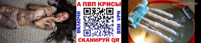 kraken как зайти  Нальчик  Alpha-PVP кристаллы 