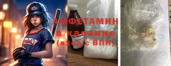 прущая мука Вяземский