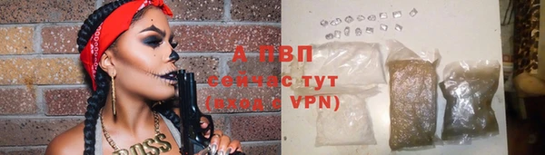 прущая мука Вяземский