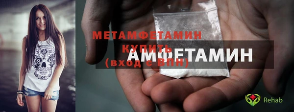 прущая мука Вяземский