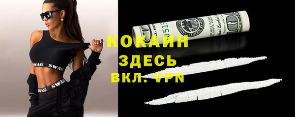 прущая мука Вяземский