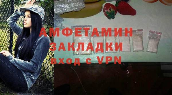 прущая мука Вяземский