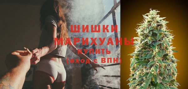 прущая мука Вяземский