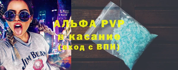 прущая мука Вяземский