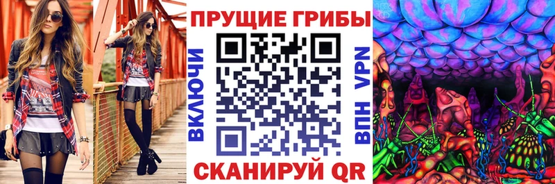 Псилоцибиновые грибы мухоморы  darknet Telegram  Нальчик 